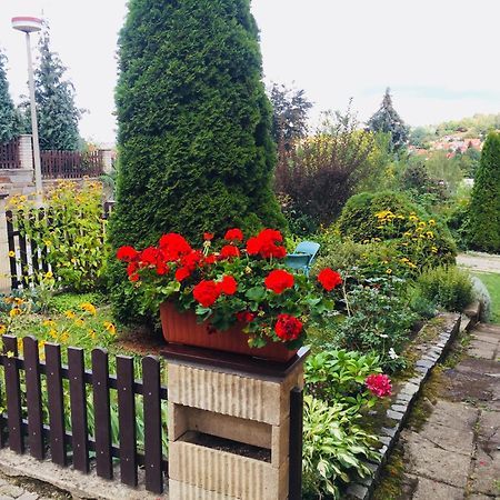Villa Cihelna Apartments Český Krumlov Dış mekan fotoğraf