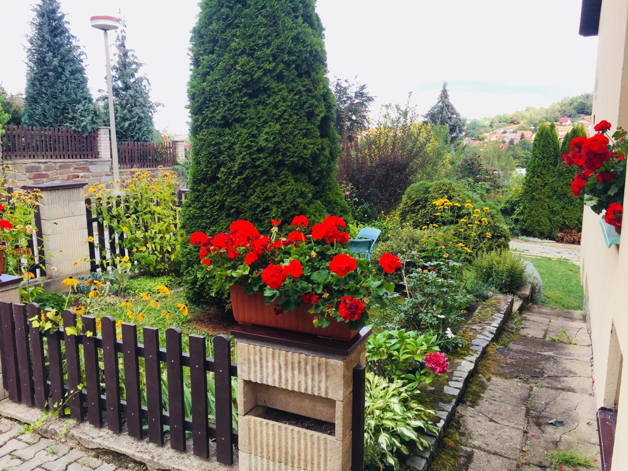 Villa Cihelna Apartments Český Krumlov Dış mekan fotoğraf